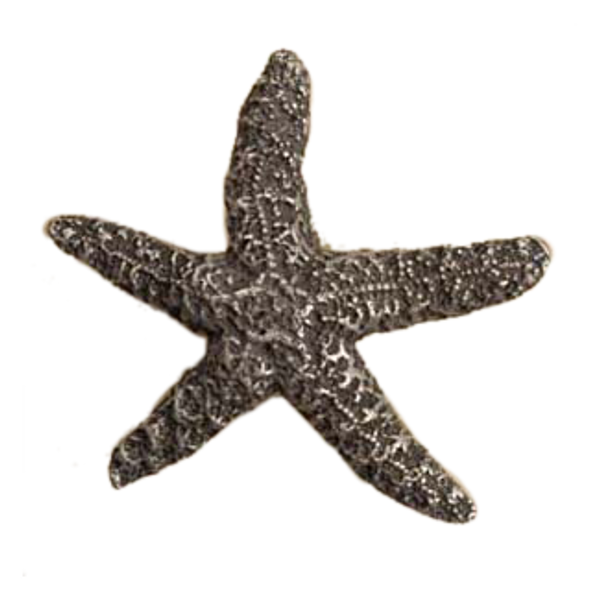 Starfish-Med Knob