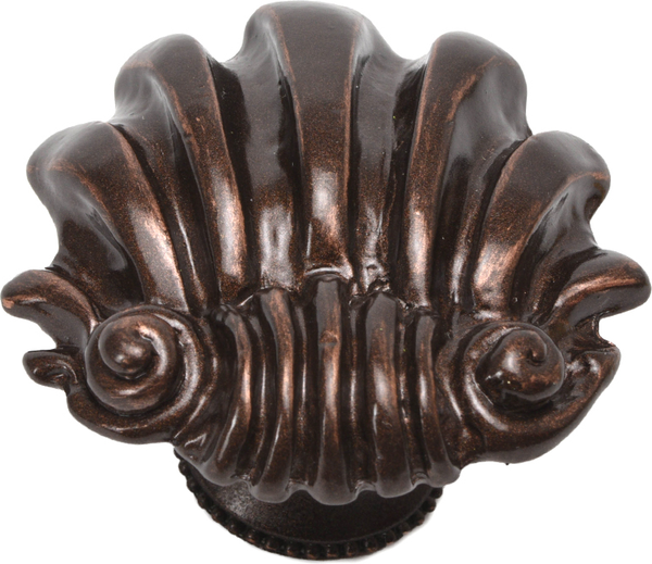 Aphrodite large shell knob 345-22