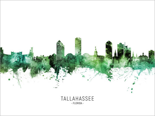 Tallahassee Florida Skyline Cityscape Poster Art Print