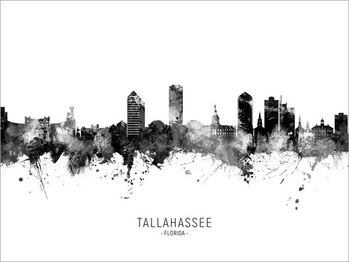 Tallahassee Florida Skyline Cityscape Poster Art Print