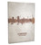 Hannover Germany Skyline Cityscape Box Canvas