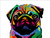 Pug Poster Art Print