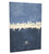 Nice France Skyline Cityscape Box Canvas