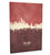 New York New York Skyline Cityscape Box Canvas