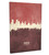 Moscow Russia Skyline Cityscape Box Canvas