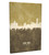 Hong Kong China Skyline Cityscape Box Canvas