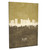 Tel Aviv Israel Skyline Cityscape Box Canvas