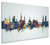 Cork Ireland Skyline Cityscape Box Canvas