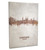 Bordeaux France Skyline Cityscape Box Canvas