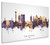 San Antonio Texas Skyline Cityscape Box Canvas
