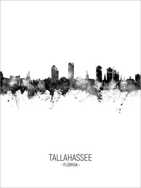 Tallahassee Florida Skyline Cityscape Poster Art Print