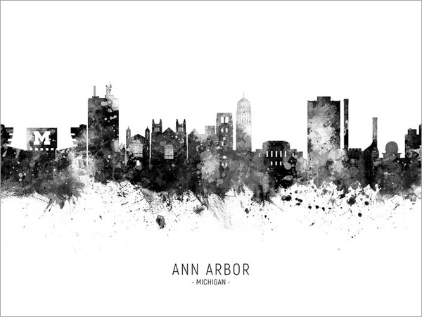 Ann Arbor Michigan Skyline Cityscape Poster Art Print