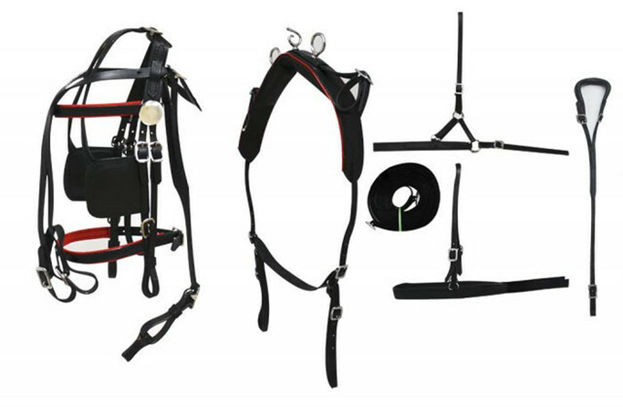 Driving Harness