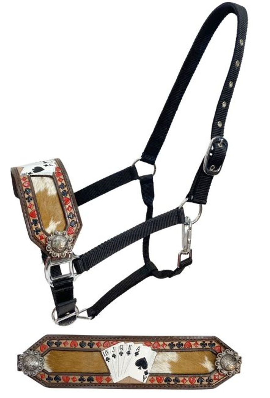 Showman® Adjustable Nylon Bronc Halter & Hand Painted Floral Design Noseband