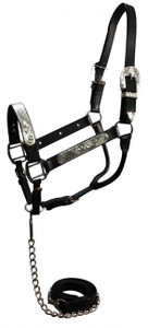 Leather Show Halter w/ Silver Accents & Matching Lead