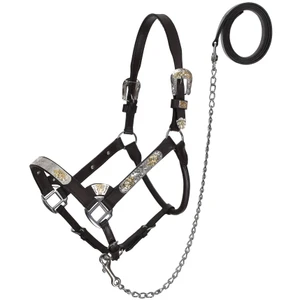 Silver & Gold Leather Show Halter with Lead - Average