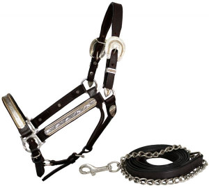 Showman Dark Brown Leather Show Halter w/ Silver & Gold Accents Showman Dark Brown Leather Show Halter w/ Silver & Gold Accents
