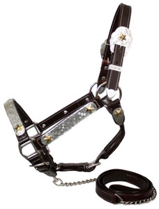 Showman Leather Show Halter w/ Engraved Silver & Gold Star Accents Showman Leather Show Halter w/ Engraved Silver & Gold Star Accents