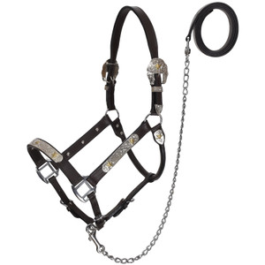 Showman Silver & Gold Star Leather Show Halter with Lead - Average