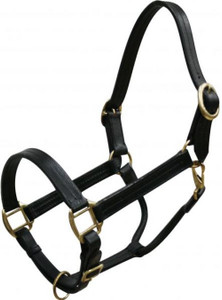 Mini Size Leather Halter w/ Brass Hardware Mini Size Leather Halter w/ Brass Hardware