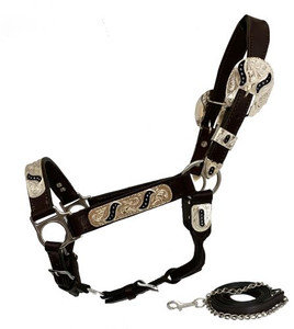 Showman Yearling Leather Show Halter w/ Engraved Silver