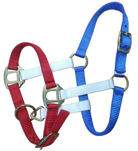 Showman Foal/Mini Red, White & Blue Nylon Halter Showman Foal/Mini Red, White & Blue Nylon Halter