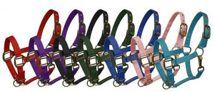 Pony Size Adjustable Triple Ply Nylon Halter w/ Brass Hardware Pony Size Adjustable Triple Ply Nylon Halter w/ Brass Hardware