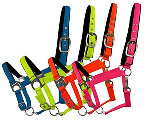 Fluorescent Nylon Neoprene Lined Adjustable Halter Fluorescent Nylon Neoprene Lined Adjustable Halter