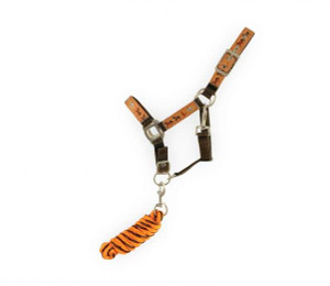 Showman Pony Brown Nylon Halter w/ Orange Running Horse Overlay & Lead Showman Pony Brown Nylon Halter w/ Orange Running Horse Overlay & Lead