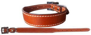 Showman Couture Genuine Medium Oil Leather Dog Collar