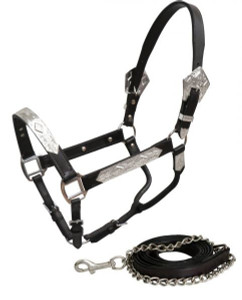 Showman Horse Size Dark Leather Show Halter w/ Lead Showman Horse Size Dark Leather Show Halter w/ Lead