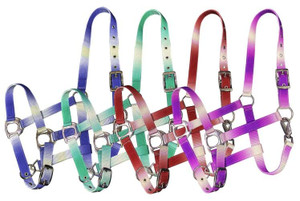 Showman Ombre Nylon Halter Showman Ombre Nylon Halter