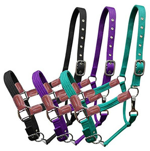 Showman Nylon Halter w/ Leather Accents Showman Nylon Halter w/ Leather Accents