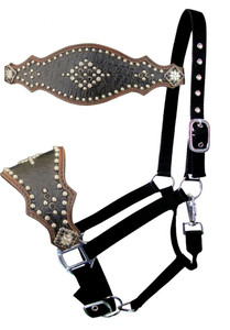 Showman Bronc Halter w/ Black Alligator Leather Noseband Showman Bronc Halter w/ Black Alligator Leather Noseband