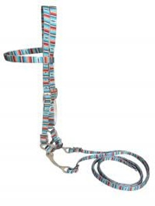 Showman Serape Print Nylon Browband Bridle