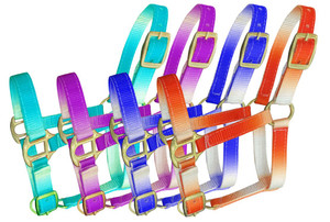 Showman Foal/Mini Nylon Ombre Halter Showman Foal/Mini Nylon Ombre Halter