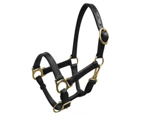 Small Pony/Weanling Leather Halter w/ Brass Hardware Small Pony/Weanling Leather Halter w/ Brass Hardware