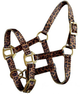Showman Foal/Mini Nylon Cheetah Print Halter Showman Foal/Mini Nylon Cheetah Print Halter