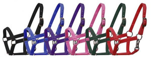 Small Pony Nylon Halter w/ Nickel Plated Hardware Small Pony Nylon Halter w/ Nickel Plated Hardware