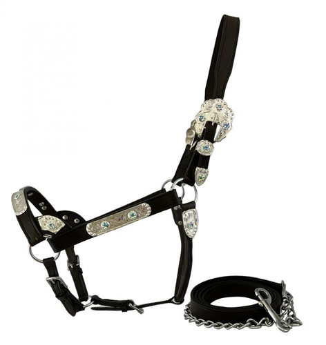Leather Show Halter w/ Engraved Silver & Blue Rhinestones