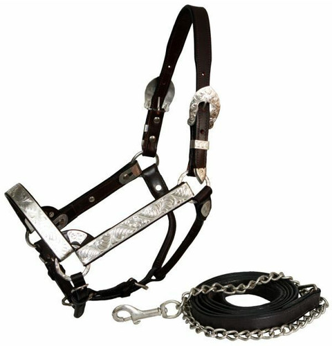 Showman Dark Brown Leather Full Size Horse Engraved Silver Show Halter w/ Lead