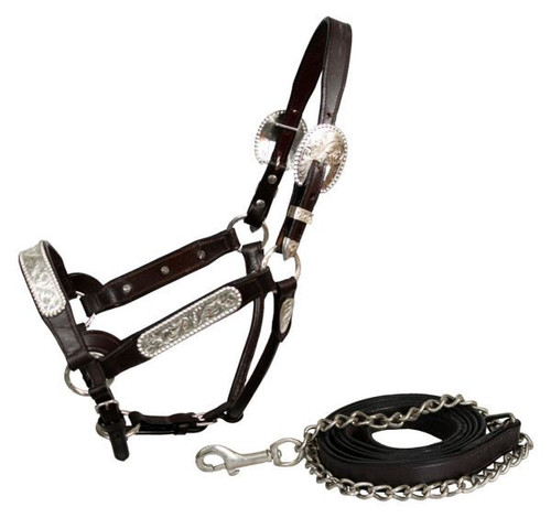 Showman Leather Show Halter w/ Engraved Silver Accents