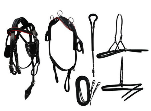 Mini Horse / Small Pony Leather Show Harness Set