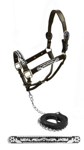 Showman Dark Leather Show Halter w/ Engraved Silver Daisy Design