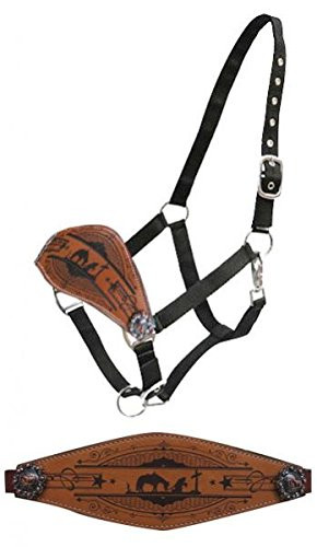 Showman Praying Cowboy Leather Bronc Halter