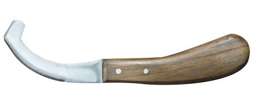 Stainless Steel Bot Knife w/ Wooden Handle