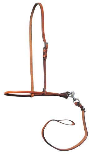 Showman Argentina Cow Leather Rolled Noseband Tie Down w/ Strap