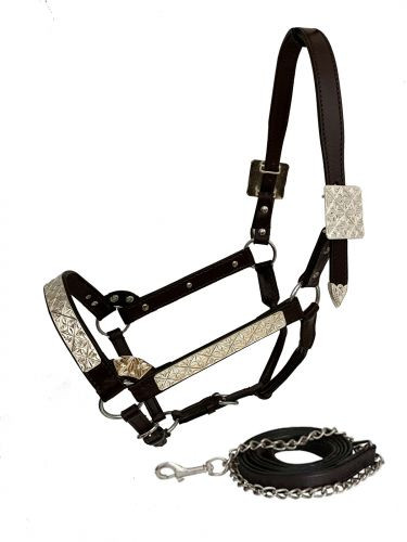 Showman Leather Show Halter w/ Floral Engraved Silver Accents