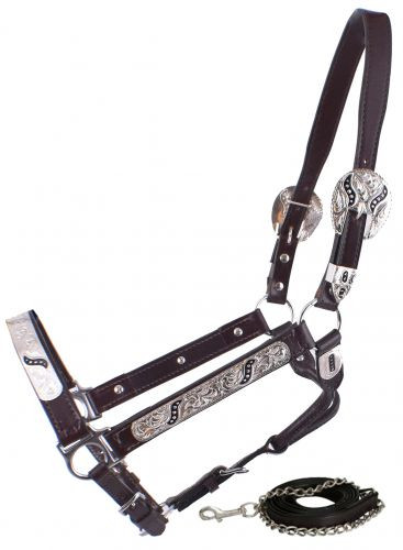 Showman Leather Show Halter w/ Engraved Silver Plates & Black Scroll Inlays