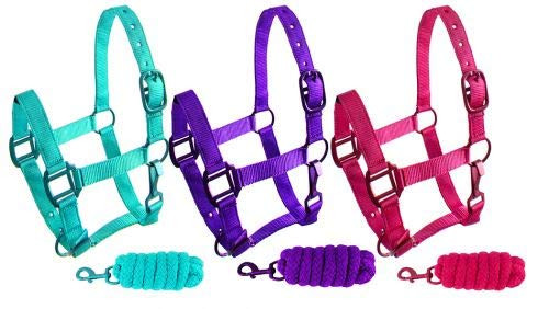 Showman Pony Triple Ply Nylon Halter w/ Lead Rope